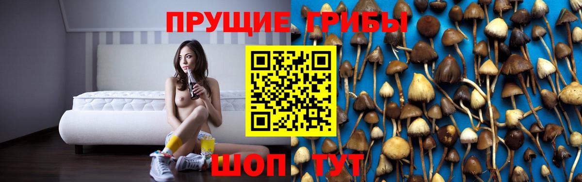 Псилоцибиновые грибы мицелий  Вход с VPN  где найти   Грозный 